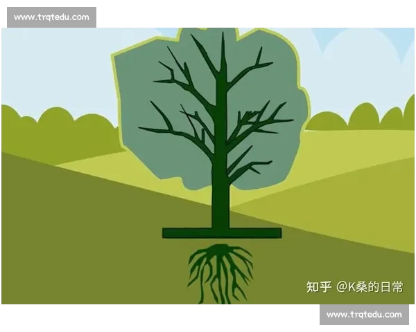 体育心理干预在提升运动表现与心理韧性中的应用研究